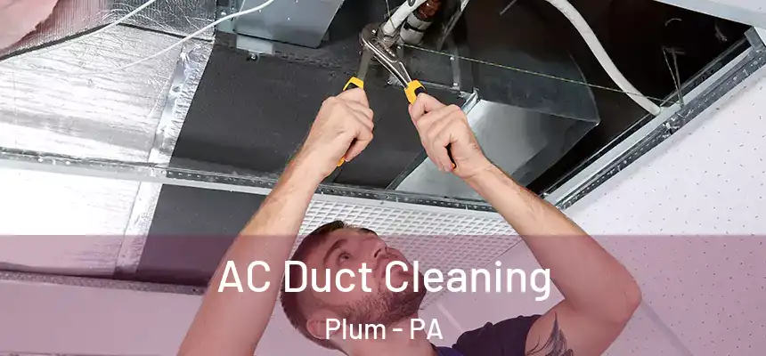  AC Duct Cleaning Plum - PA
