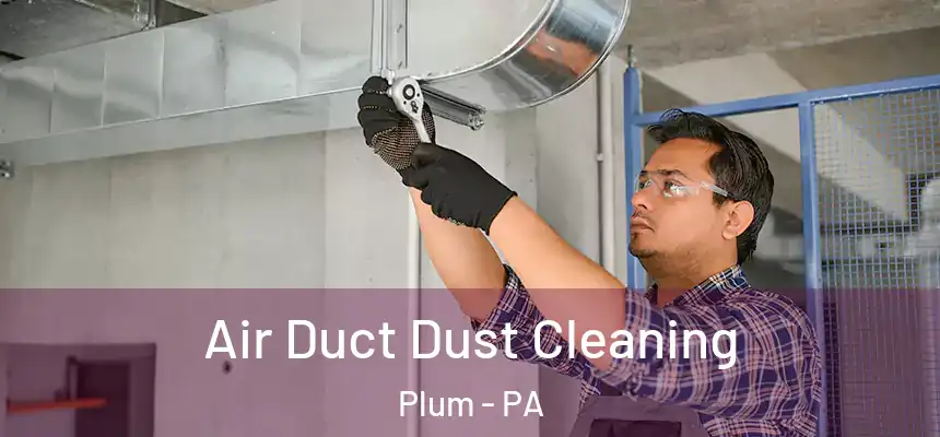  Air Duct Dust Cleaning Plum - PA