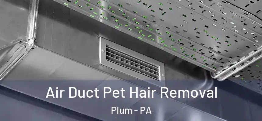  Air Duct Pet Hair Removal Plum - PA