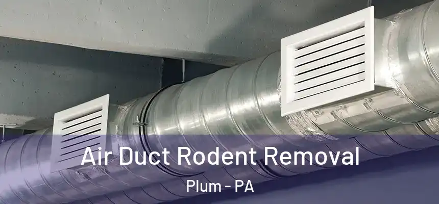 Air Duct Rodent Removal Plum - PA