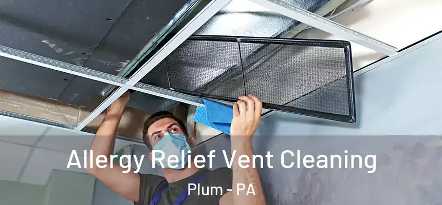  Allergy Relief Vent Cleaning Plum - PA
