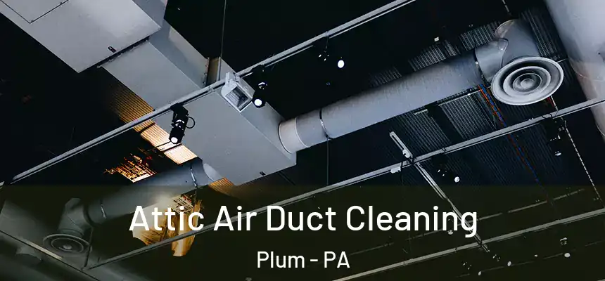  Attic Air Duct Cleaning Plum - PA