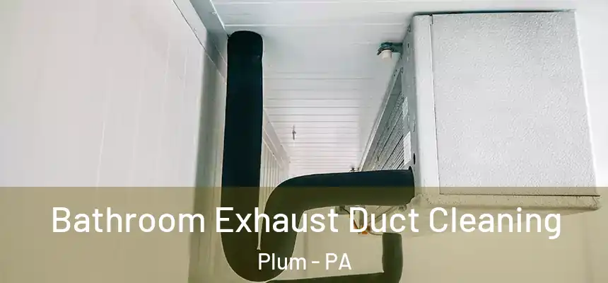  Bathroom Exhaust Duct Cleaning Plum - PA