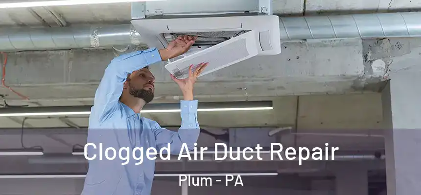  Clogged Air Duct Repair Plum - PA