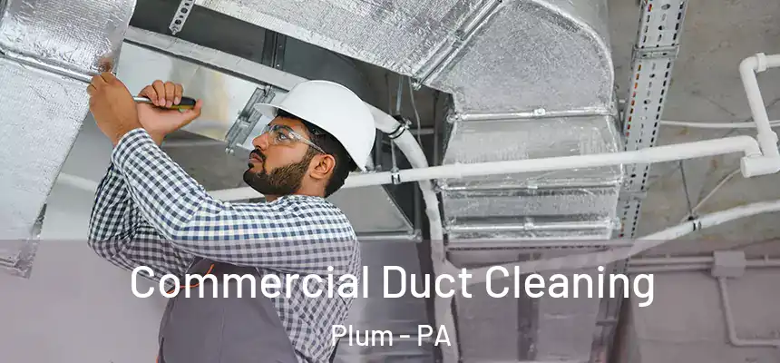  Commercial Duct Cleaning Plum - PA