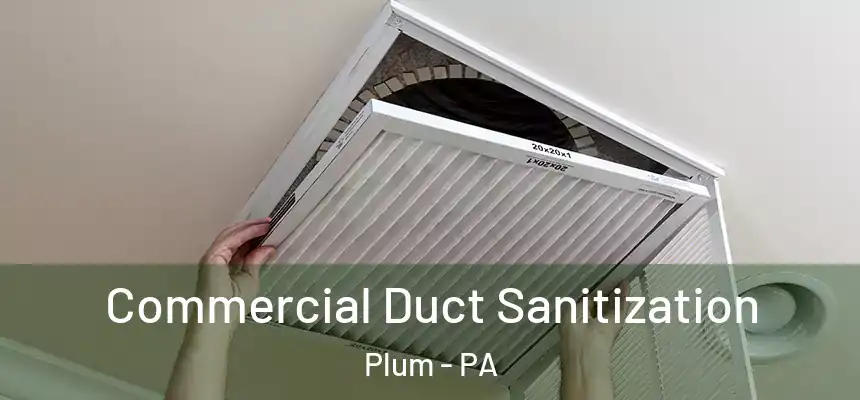  Commercial Duct Sanitization Plum - PA