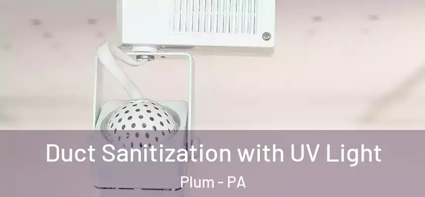 Duct Sanitization with UV Light Plum - PA