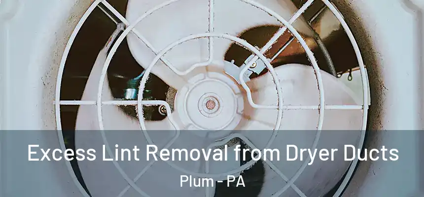  Excess Lint Removal from Dryer Ducts Plum - PA