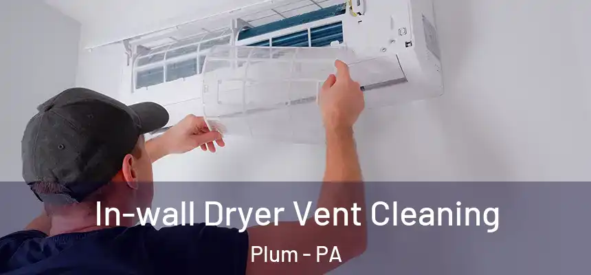  In-wall Dryer Vent Cleaning Plum - PA