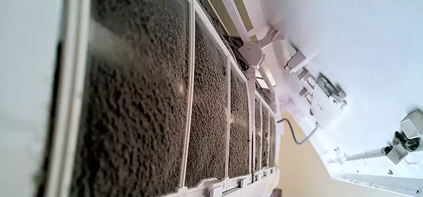 Preventive Air Duct Bacteria Removal in Plum