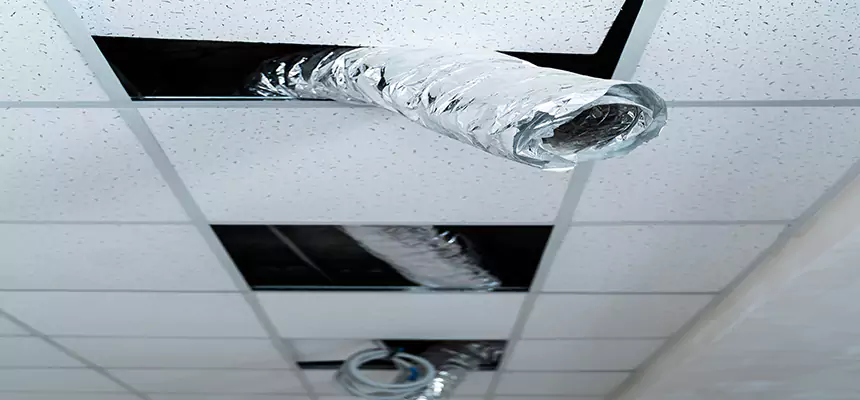 Our Air Duct Pet Hair Removal Services in Plum, PA