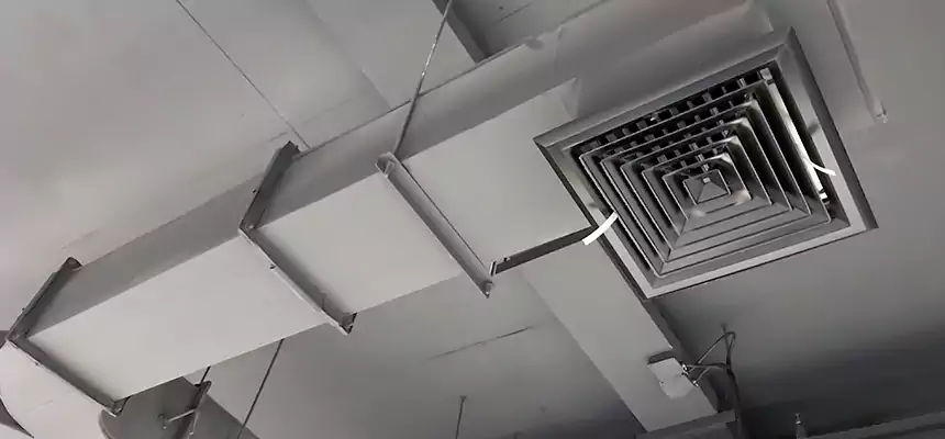 Restorative Allergy Relief Vent Cleaning – Coil, Blower & Housing Detail in Plum