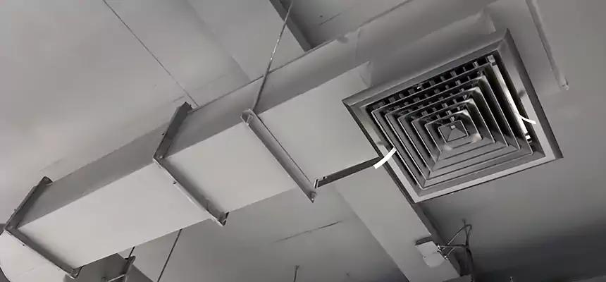 Our Pest Removal From Ducts Services in Plum, PA