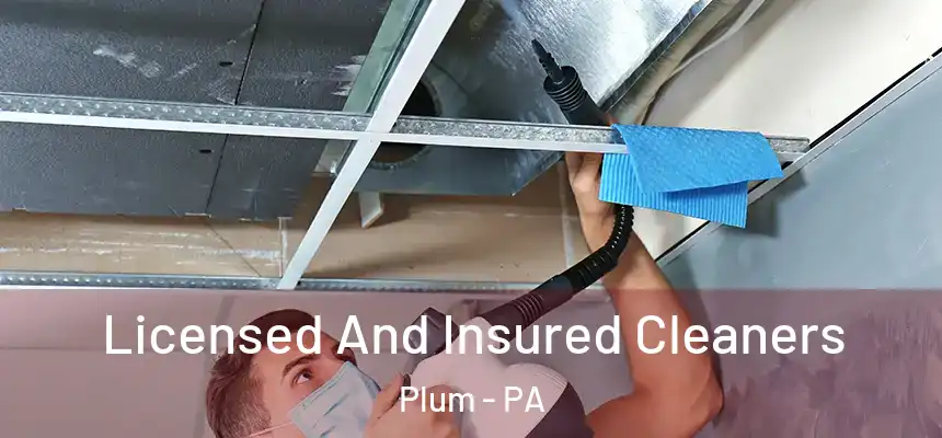  Licensed And Insured Cleaners Plum - PA