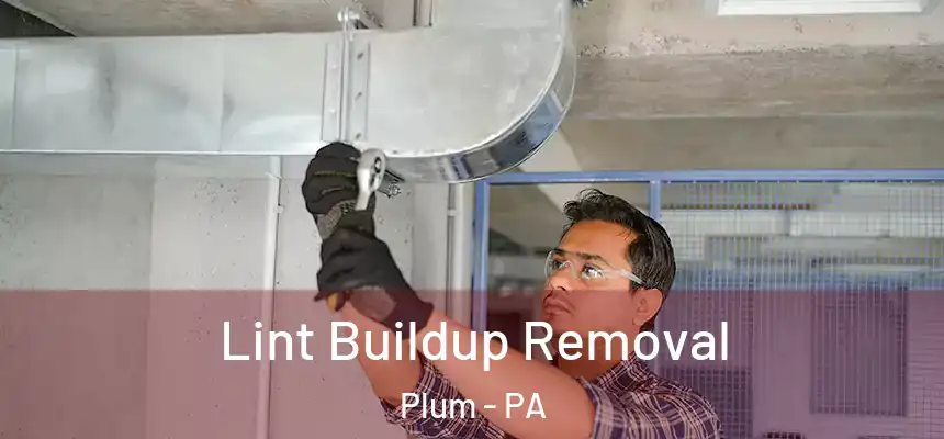  Lint Buildup Removal Plum - PA