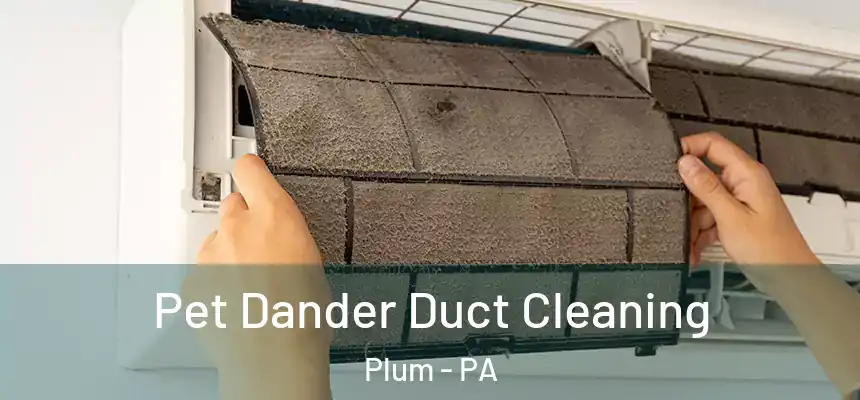 Pet Dander Duct Cleaning Plum - PA