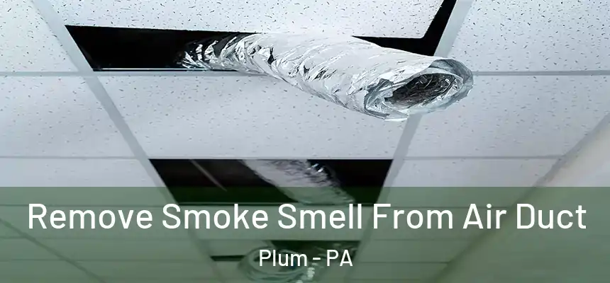  Remove Smoke Smell From Air Duct Plum - PA
