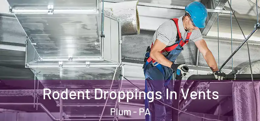  Rodent Droppings In Vents Plum - PA