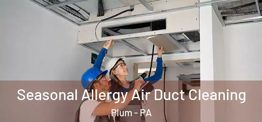  Seasonal Allergy Air Duct Cleaning Plum - PA