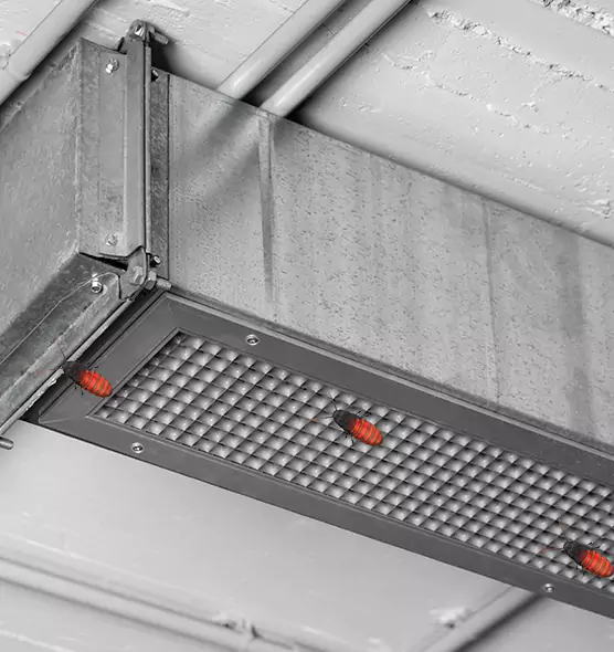 About Air Duct Cockroach Removal in Plum, PA