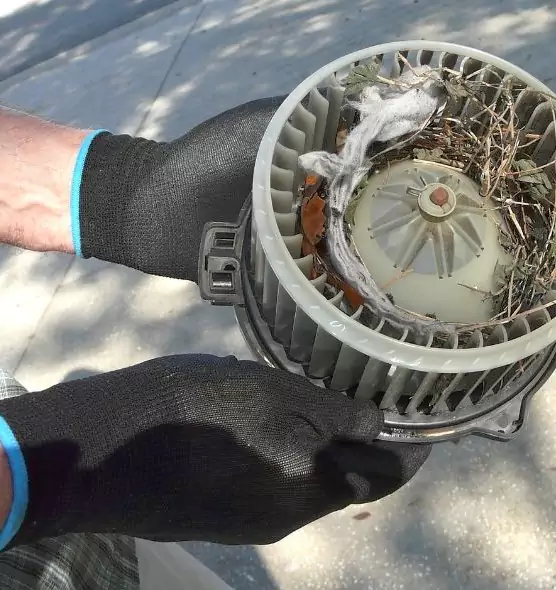 About Air Duct Mice Removal in Plum, PA