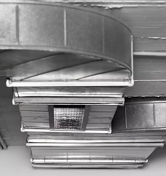 Professional Air Duct Pet Hair Removal in Plum, PA