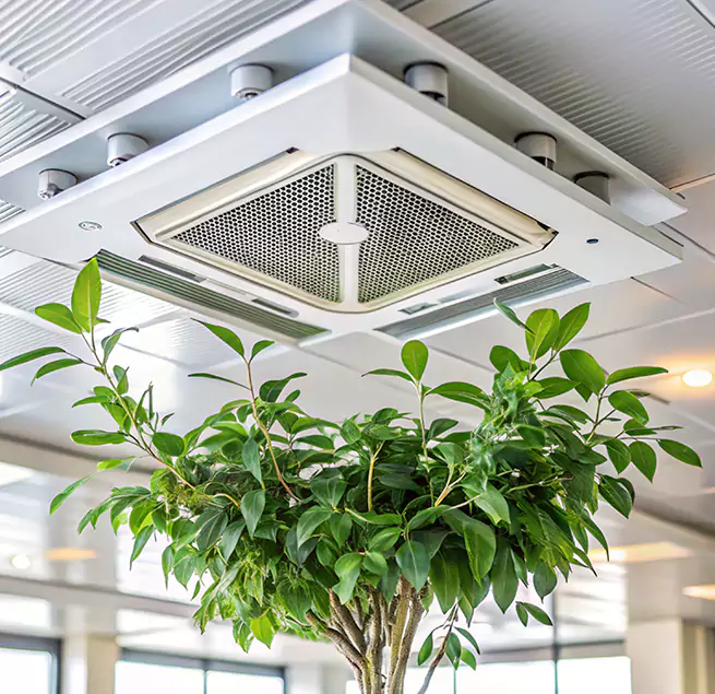 Why Homeowners & Businesses Trust Us in Plum, PA