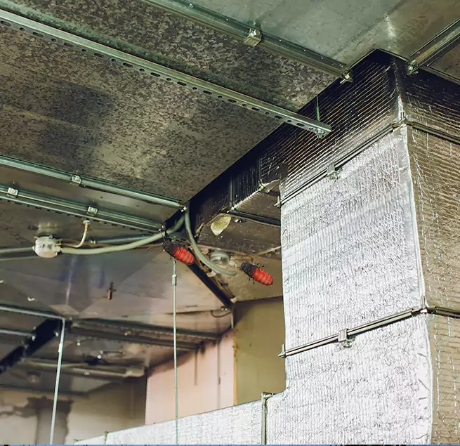 Why Homeowners & Businesses Trust Us Plum, PA?