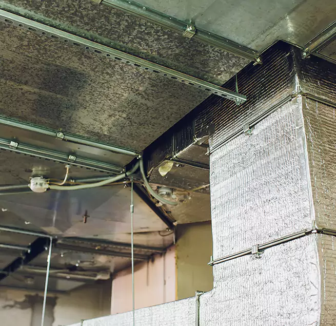 Why Homeowners & Businesses Trust Us in Plum, PA?