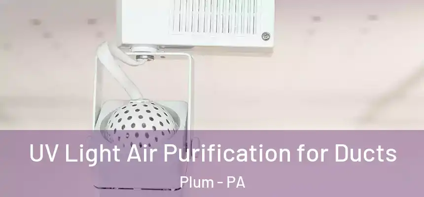  UV Light Air Purification for Ducts Plum - PA