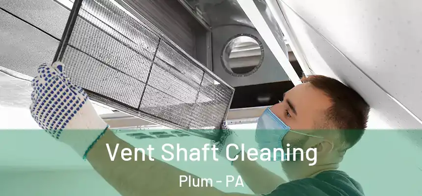 Vent Shaft Cleaning Plum - PA